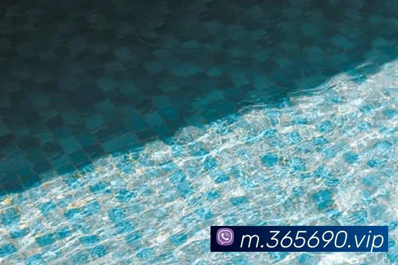 bet365发展历程
